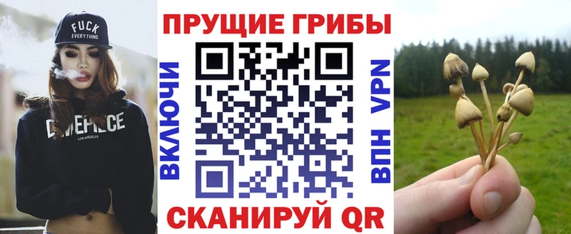 Псилоцибиновые грибы Magic Shrooms  Новоржев 